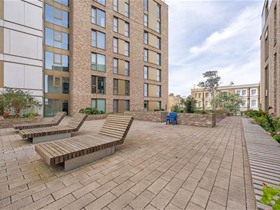 Picture 16